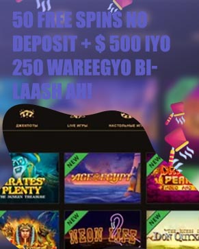 Play fortuna 50 free spins